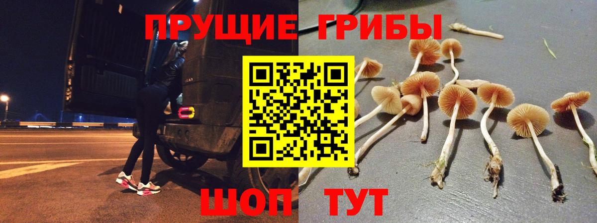 Псилоцибиновые грибы мухоморы  Вход с VPN  Сыктывкар  Галлюциногенные грибы мицелий 